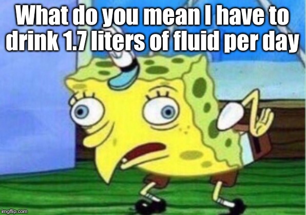 Mocking Spongebob Meme | What do you mean I have to drink 1.7 liters of fluid per day | image tagged in memes,mocking spongebob | made w/ Imgflip meme maker