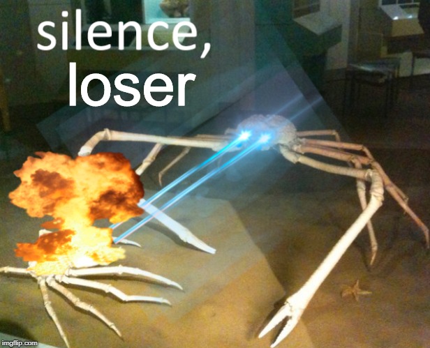 Silence Crab | loser | image tagged in silence crab | made w/ Imgflip meme maker