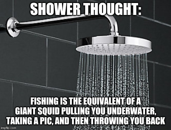 SHOWER THOUGHT:; FISHING IS THE EQUIVALENT OF A GIANT SQUID PULLING YOU UNDERWATER, TAKING A PIC, AND THEN THROWING YOU BACK | image tagged in fun | made w/ Imgflip meme maker
