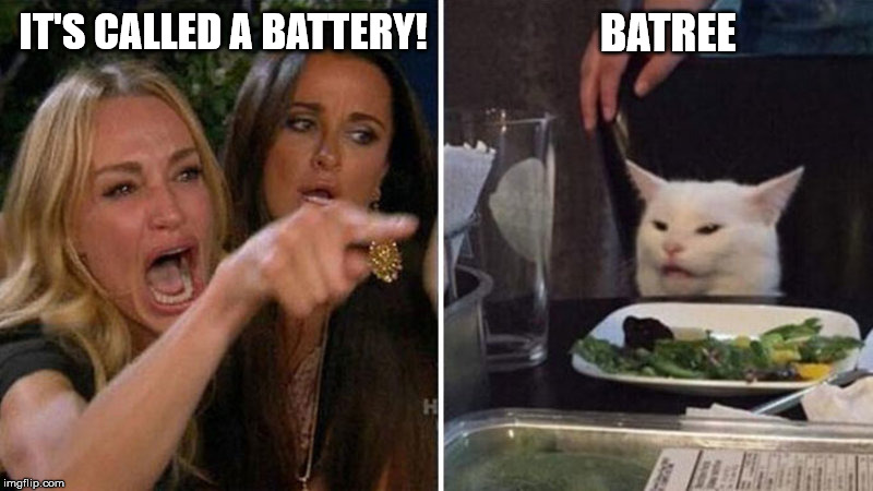 Woman yelling at white cat | BATREE; IT'S CALLED A BATTERY! | image tagged in woman yelling at white cat | made w/ Imgflip meme maker