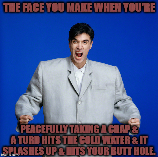 FACE YOU MAKE | THE FACE YOU MAKE WHEN YOU'RE; PEACEFULLY TAKING A CRAP & A TURD HITS THE COLD WATER & IT SPLASHES UP & HITS YOUR BUTT HOLE. | image tagged in face you make | made w/ Imgflip meme maker