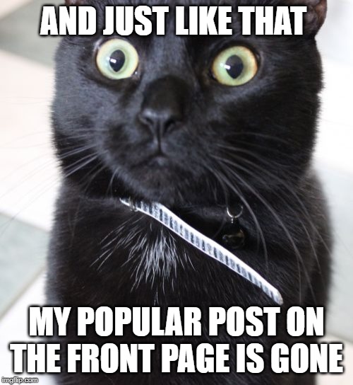 Woah Kitty | AND JUST LIKE THAT; MY POPULAR POST ON THE FRONT PAGE IS GONE | image tagged in memes,woah kitty | made w/ Imgflip meme maker