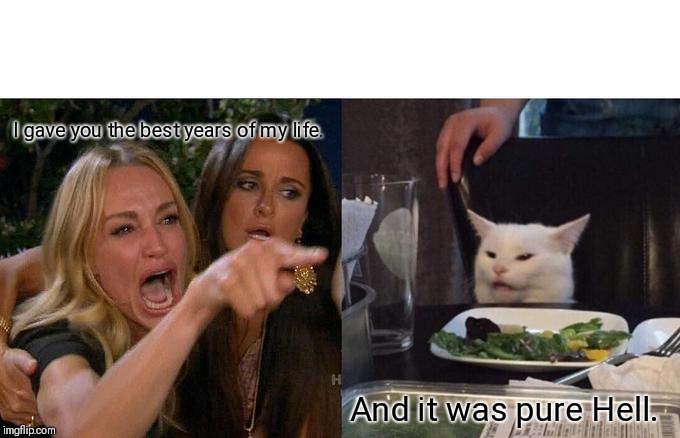 When the relationship hits the skids. | I gave you the best years of my life. And it was pure Hell. | image tagged in memes,woman yelling at cat | made w/ Imgflip meme maker