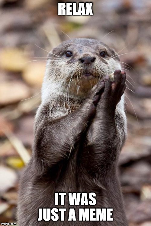 Slow-Clap Otter | RELAX IT WAS JUST A MEME | image tagged in slow-clap otter | made w/ Imgflip meme maker