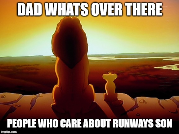 Lion King Meme | DAD WHATS OVER THERE; PEOPLE WHO CARE ABOUT RUNWAYS SON | image tagged in memes,lion king | made w/ Imgflip meme maker