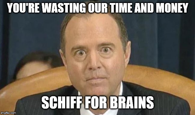 Schiff | YOU'RE WASTING OUR TIME AND MONEY; SCHIFF FOR BRAINS | image tagged in schiff | made w/ Imgflip meme maker