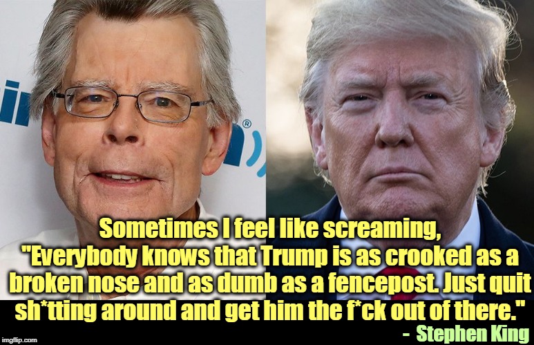 Dreamsnatcher | Sometimes I feel like screaming, "Everybody knows that Trump is as crooked as a broken nose and as dumb as a fencepost. Just quit sh*tting around and get him the f*ck out of there."; -  Stephen King | image tagged in stephen king and his horror figure trump,trump,crooked,dumb,stephen king | made w/ Imgflip meme maker