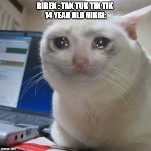 Crying cat | BIBEK : TAK TUK TIK TIK 
14 YEAR OLD NIBBI: | image tagged in crying cat | made w/ Imgflip meme maker