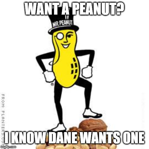 mr peanut | WANT A PEANUT? I KNOW DANE WANTS ONE | image tagged in mr peanut | made w/ Imgflip meme maker
