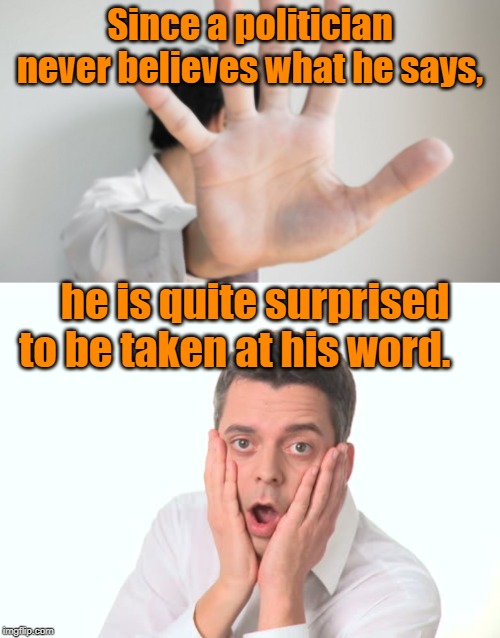 Never believe and surprised | Since a politician never believes what he says, he is quite surprised to be taken at his word. | image tagged in quotes | made w/ Imgflip meme maker
