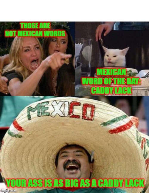 THOSE ARE NOT MEXICAN WORDS; MEXICAN WORD OF THE DAY:
CADDY LACK; YOUR ASS IS AS BIG AS A CADDY LACK | image tagged in happy mexican,memes,woman yelling at cat | made w/ Imgflip meme maker