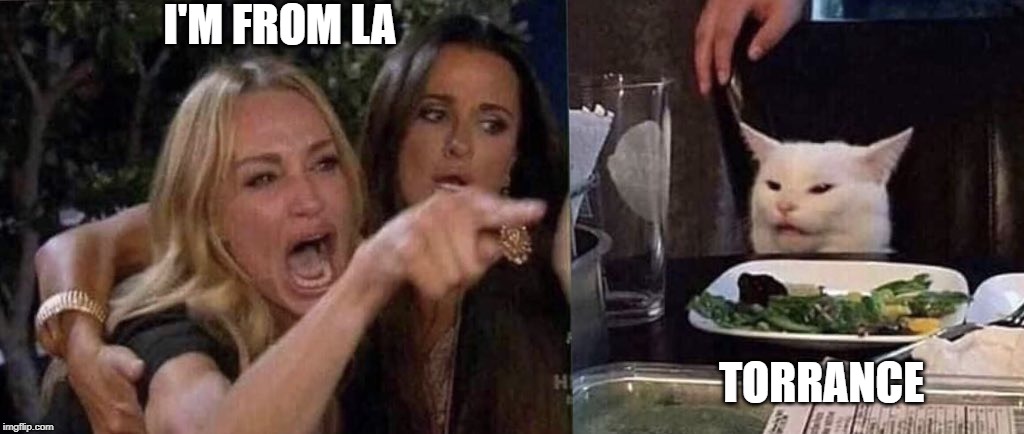 woman yelling at cat | I'M FROM LA; TORRANCE | image tagged in woman yelling at cat | made w/ Imgflip meme maker