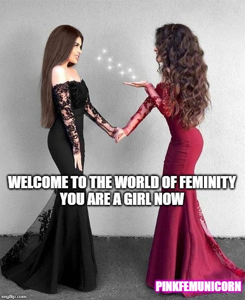 WELCOME TO THE WORLD OF FEMINITY
YOU ARE A GIRL NOW; PINKFEMUNICORN | made w/ Imgflip meme maker