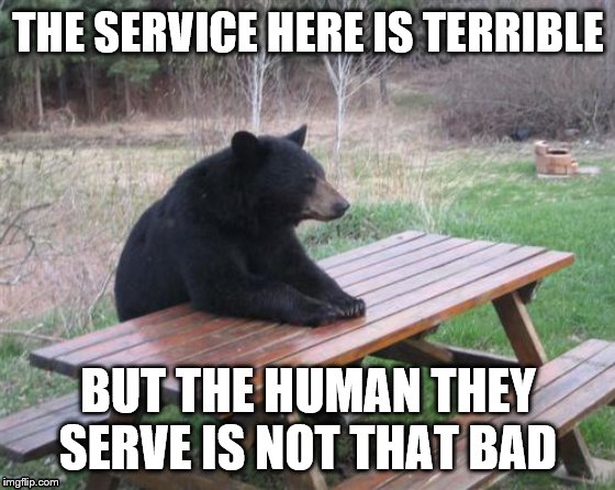 Bad Luck Bear Meme | THE SERVICE HERE IS TERRIBLE; BUT THE HUMAN THEY SERVE IS NOT THAT BAD | image tagged in memes,bad luck bear | made w/ Imgflip meme maker