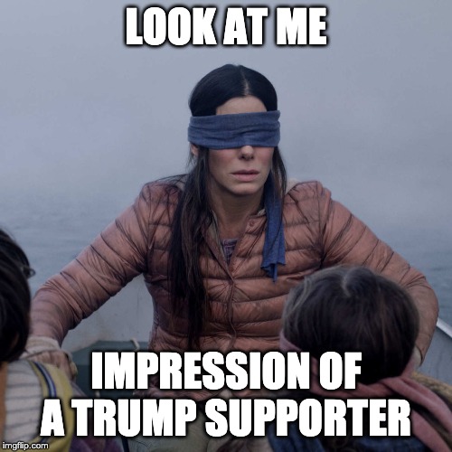 Bird Box | LOOK AT ME; IMPRESSION OF A TRUMP SUPPORTER | image tagged in memes,bird box | made w/ Imgflip meme maker