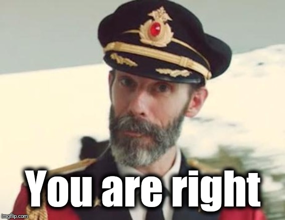 Captain Obvious | You are right | image tagged in captain obvious | made w/ Imgflip meme maker