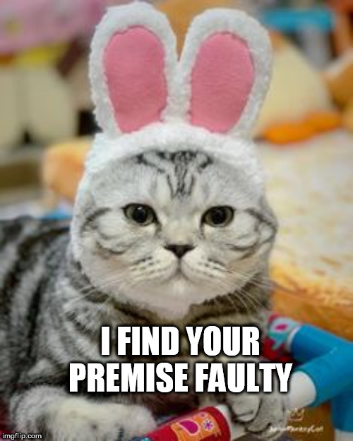 bunny | I FIND YOUR PREMISE FAULTY | image tagged in bunny | made w/ Imgflip meme maker
