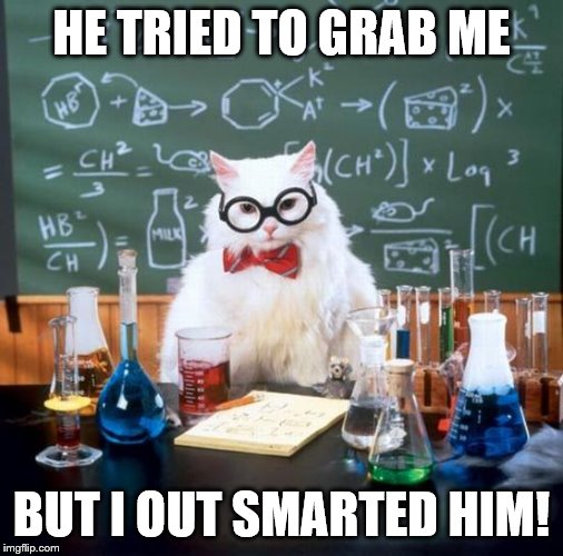 Chemistry Cat Meme | HE TRIED TO GRAB ME; BUT I OUT SMARTED HIM! | image tagged in memes,chemistry cat | made w/ Imgflip meme maker