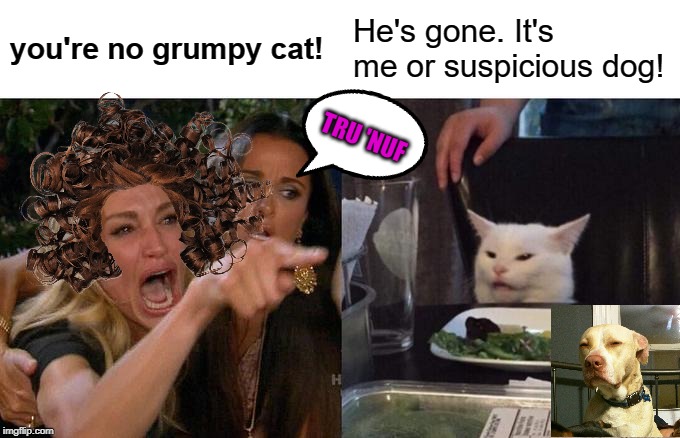 Woman Yelling At Cat Meme | you're no grumpy cat! He's gone. It's me or suspicious dog! TRU 'NUF | image tagged in memes,woman yelling at cat | made w/ Imgflip meme maker