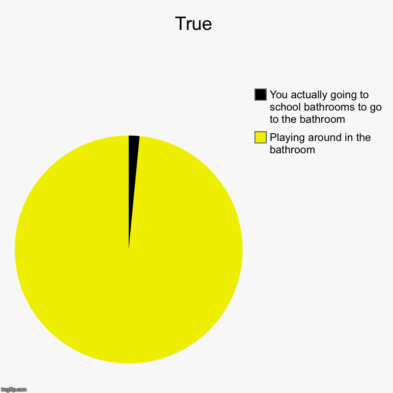 True | Playing around in the bathroom, You actually going to school bathrooms to go to the bathroom | image tagged in charts,pie charts | made w/ Imgflip chart maker
