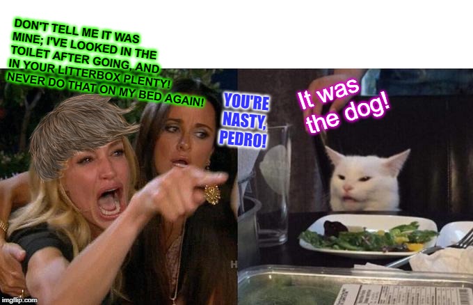 Woman Yelling At Cat | DON'T TELL ME IT WAS MINE; I'VE LOOKED IN THE TOILET AFTER GOING, AND IN YOUR LITTERBOX PLENTY! NEVER DO THAT ON MY BED AGAIN! It was the dog! YOU'RE NASTY, PEDRO! | image tagged in memes,woman yelling at cat | made w/ Imgflip meme maker