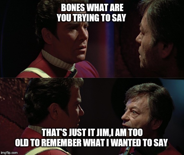 TSFS Kirk Bones Remember | BONES WHAT ARE YOU TRYING TO SAY THAT'S JUST IT JIM,I AM TOO OLD TO REMEMBER WHAT I WANTED TO SAY | image tagged in tsfs kirk bones remember | made w/ Imgflip meme maker