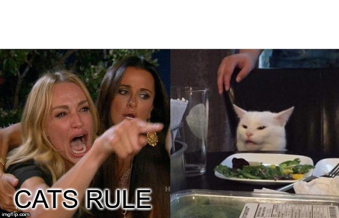 And Then | CATS RULE | image tagged in memes,woman yelling at cat | made w/ Imgflip meme maker