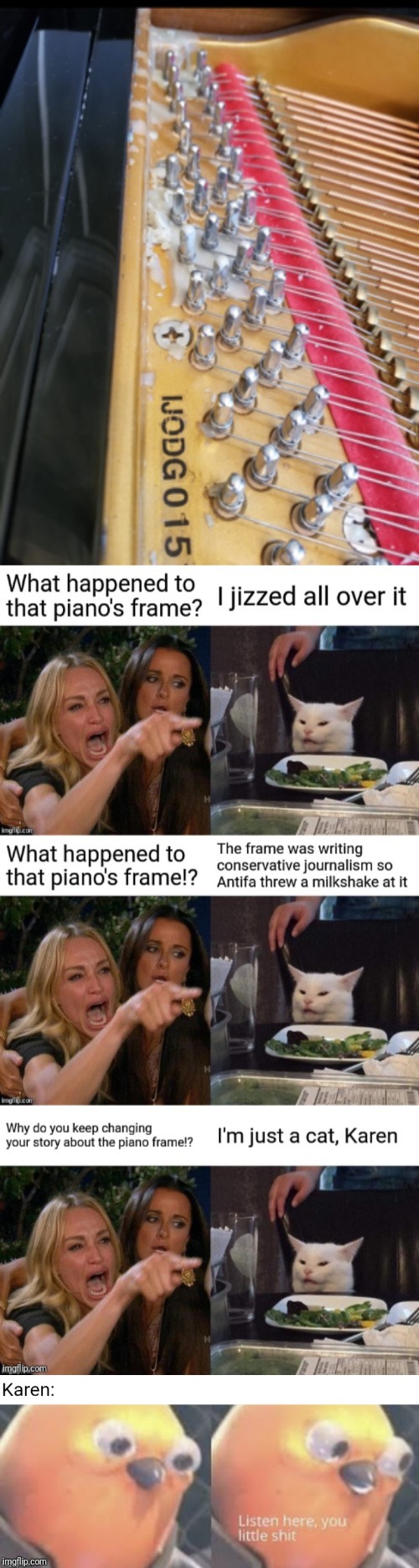 image tagged in memes,listen here you little shit bird,woman yelling at cat,piano,cat,karen | made w/ Imgflip meme maker