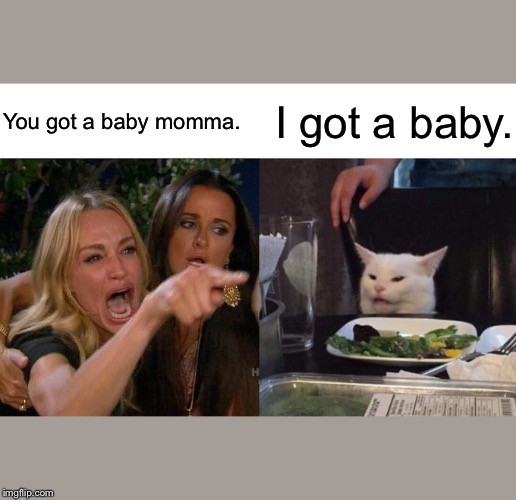 Woman Yelling At Cat | You got a baby momma. I got a baby. | image tagged in memes,woman yelling at cat | made w/ Imgflip meme maker