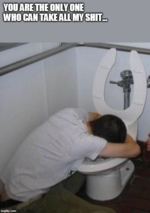 Drunk puking toilet | YOU ARE THE ONLY ONE WHO CAN TAKE ALL MY SHIT... | image tagged in drunk puking toilet | made w/ Imgflip meme maker