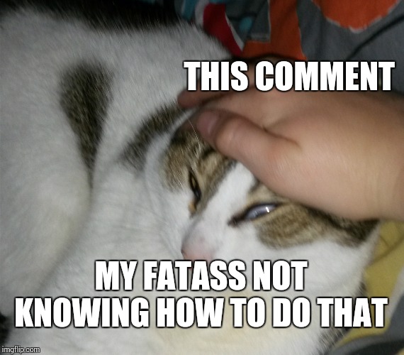 Grab Cat | THIS COMMENT MY FATASS NOT KNOWING HOW TO DO THAT | image tagged in grab cat | made w/ Imgflip meme maker