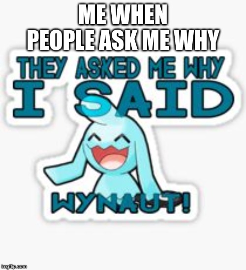 Wynaut | ME WHEN PEOPLE ASK ME WHY | image tagged in wynaut | made w/ Imgflip meme maker