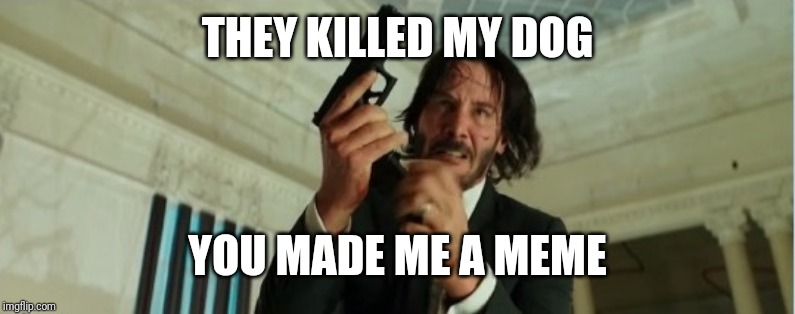 john wick gun | THEY KILLED MY DOG; YOU MADE ME A MEME | image tagged in john wick gun | made w/ Imgflip meme maker