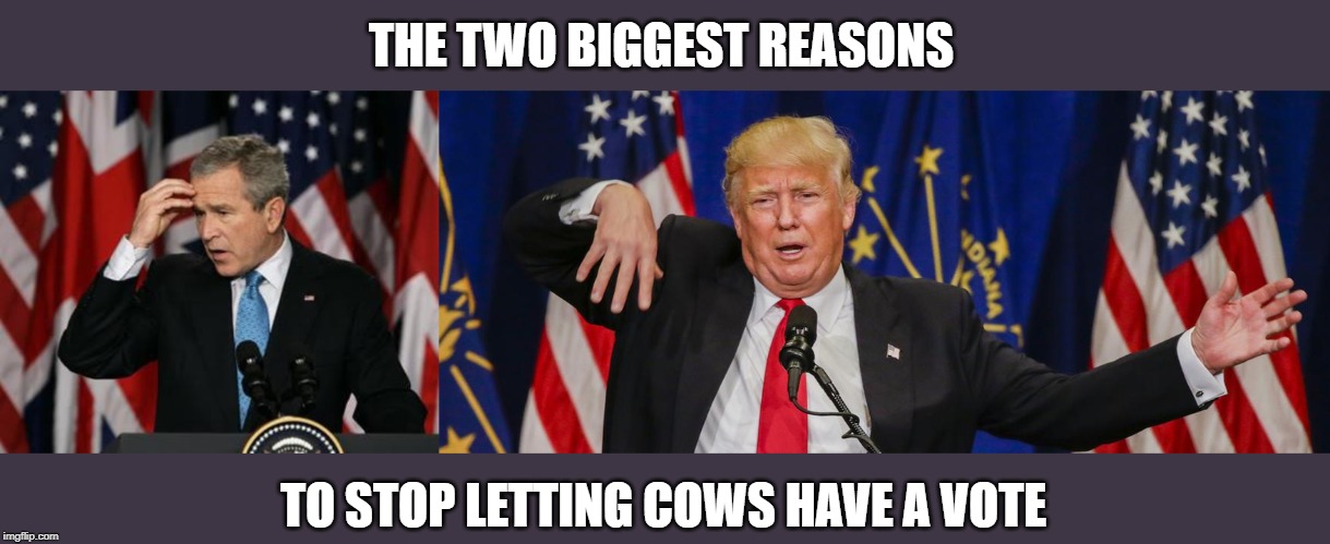 End the electoral college- its simply not fair or effective | THE TWO BIGGEST REASONS; TO STOP LETTING COWS HAVE A VOTE | image tagged in george w bush,trump limp,electoral college,maga,politics,impeach trump | made w/ Imgflip meme maker