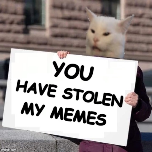 YOU; HAVE STOLEN; MY MEMES | image tagged in kitteh thurnberg,woman yelling at cat,greta thunberg,stolen memes,stolen | made w/ Imgflip meme maker