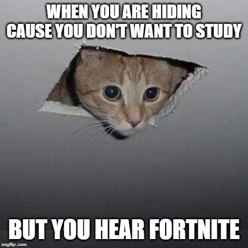 Ceiling Cat Meme | WHEN YOU ARE HIDING CAUSE YOU DON'T WANT TO STUDY; BUT YOU HEAR FORTNITE | image tagged in memes,ceiling cat | made w/ Imgflip meme maker