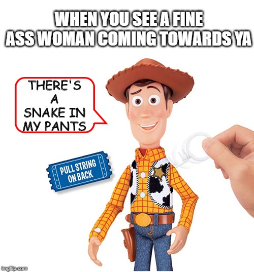 No Lie "Woody" | WHEN YOU SEE A FINE ASS WOMAN COMING TOWARDS YA; THERE'S A SNAKE IN MY PANTS | image tagged in woody pull string | made w/ Imgflip meme maker