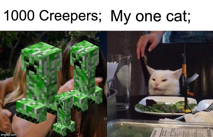 Woman Yelling At Cat | 1000 Creepers;; My one cat; | image tagged in memes,woman yelling at cat | made w/ Imgflip meme maker
