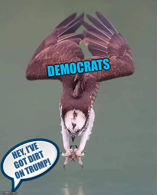 Diving for dirt | DEMOCRATS; HEY, I’VE GOT DIRT ON TRUMP! | image tagged in political,memes,democrats,trump,funny because it's true | made w/ Imgflip meme maker