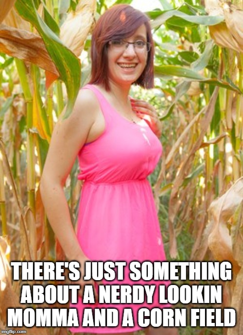 Stalk Her | THERE'S JUST SOMETHING ABOUT A NERDY LOOKIN MOMMA AND A CORN FIELD | image tagged in milf | made w/ Imgflip meme maker