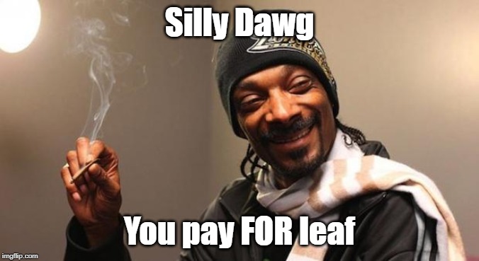Snoop Dogg | Silly Dawg You pay FOR leaf | image tagged in snoop dogg | made w/ Imgflip meme maker