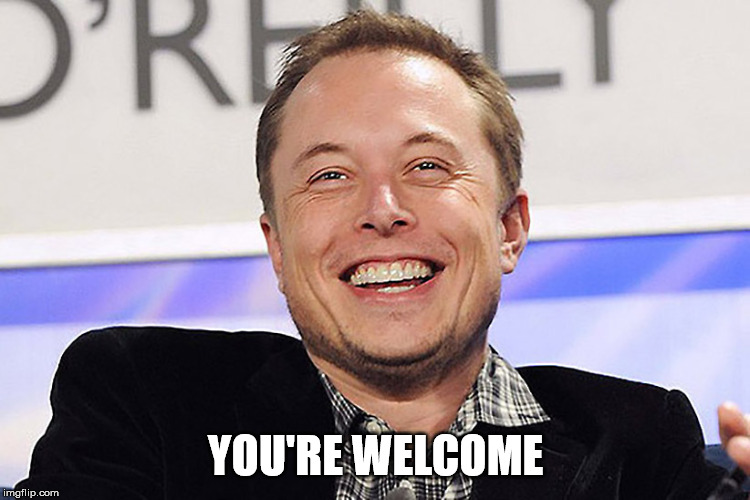 Elon musk | YOU'RE WELCOME | image tagged in elon musk | made w/ Imgflip meme maker