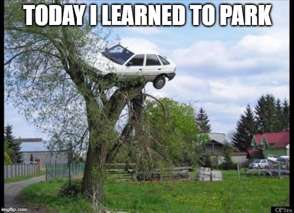 Secure Parking Meme | TODAY I LEARNED TO PARK | image tagged in memes,secure parking | made w/ Imgflip meme maker