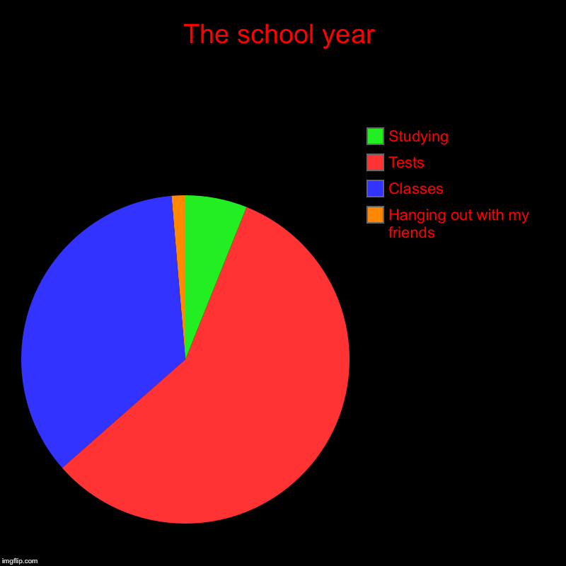 The school year | Hanging out with my friends, Classes, Tests, Studying | image tagged in charts,pie charts | made w/ Imgflip chart maker