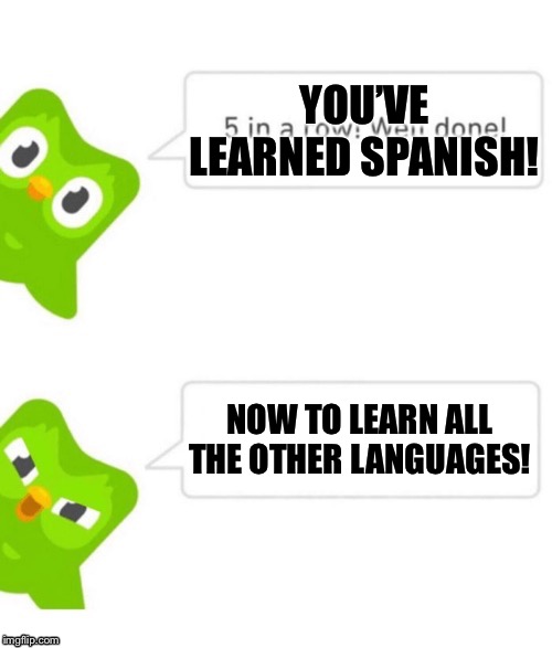 Duo gets mad | YOU’VE LEARNED SPANISH! NOW TO LEARN ALL THE OTHER LANGUAGES! | image tagged in duo gets mad | made w/ Imgflip meme maker