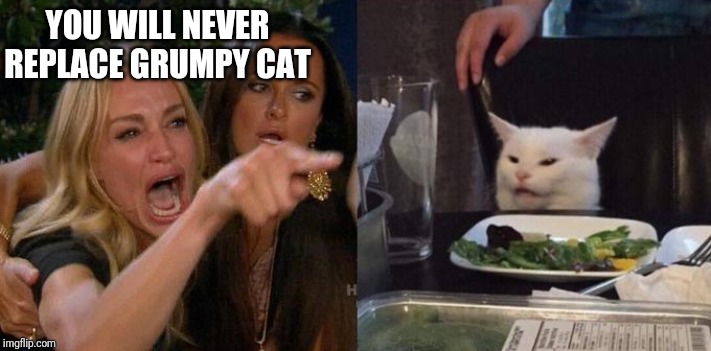 YOU WILL NEVER REPLACE GRUMPY CAT | image tagged in grumpy cat,woman yelling at cat | made w/ Imgflip meme maker