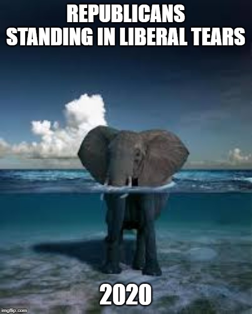 REPUBLICANS STANDING IN LIBERAL TEARS 2020 | made w/ Imgflip meme maker