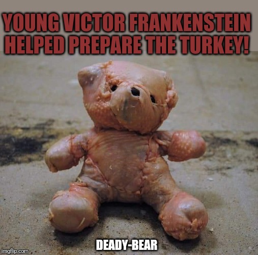 Deady-bear Turkey | YOUNG VICTOR FRANKENSTEIN HELPED PREPARE THE TURKEY! DEADY-BEAR | image tagged in bear turkey,turkey,bear | made w/ Imgflip meme maker