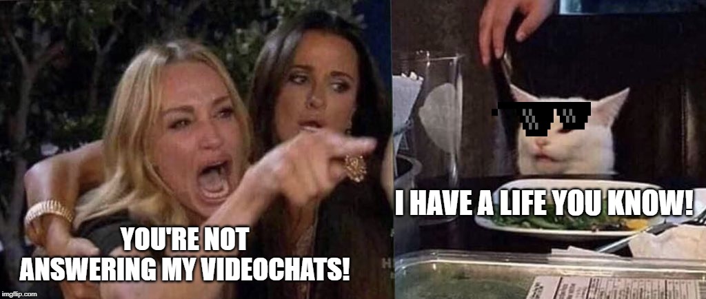 woman yelling at cat | I HAVE A LIFE YOU KNOW! YOU'RE NOT ANSWERING MY VIDEOCHATS! | image tagged in woman yelling at cat | made w/ Imgflip meme maker
