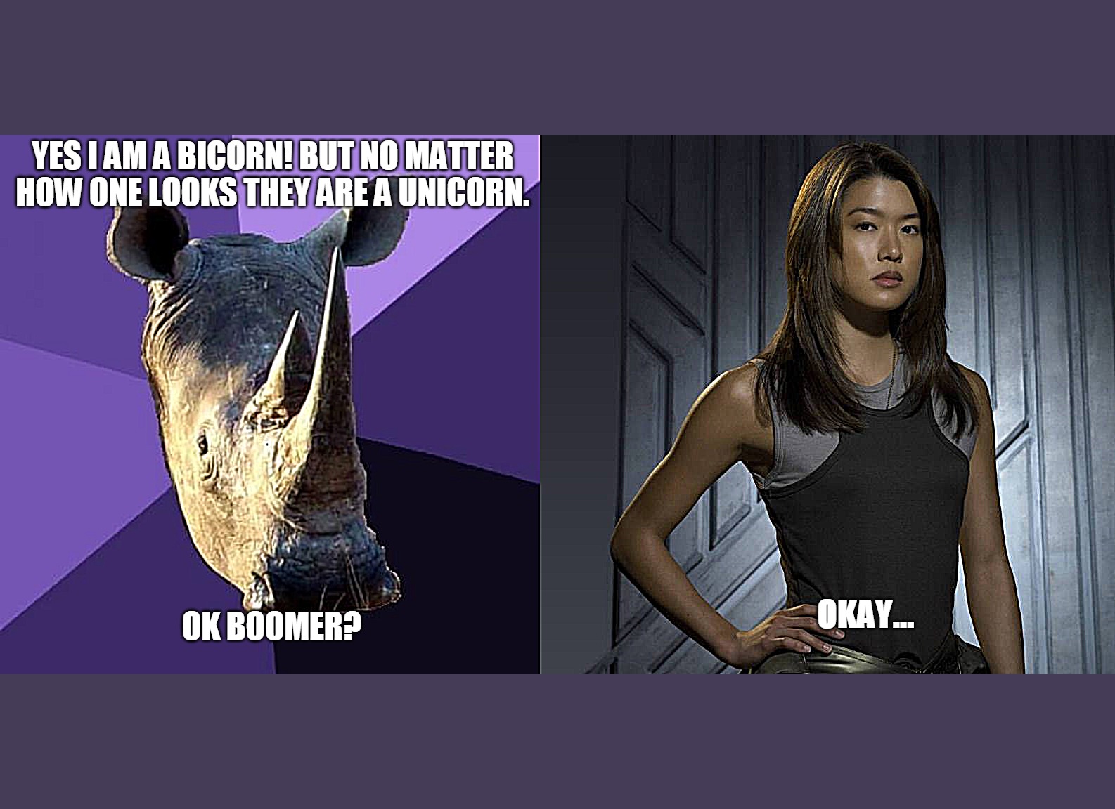 YES I AM A BICORN! BUT NO MATTER HOW ONE LOOKS THEY ARE A UNICORN. OKAY... OK BOOMER? | image tagged in memes,sexually oblivious rhino,boomer battlestar galactica | made w/ Imgflip meme maker